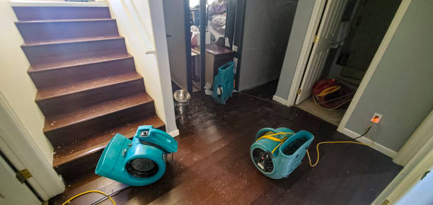 Best Sewage cleanup and water damage restoration  in Crenshaw, MS