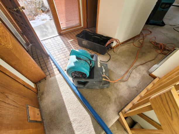 Best Water damage restoration process  in Crenshaw, MS