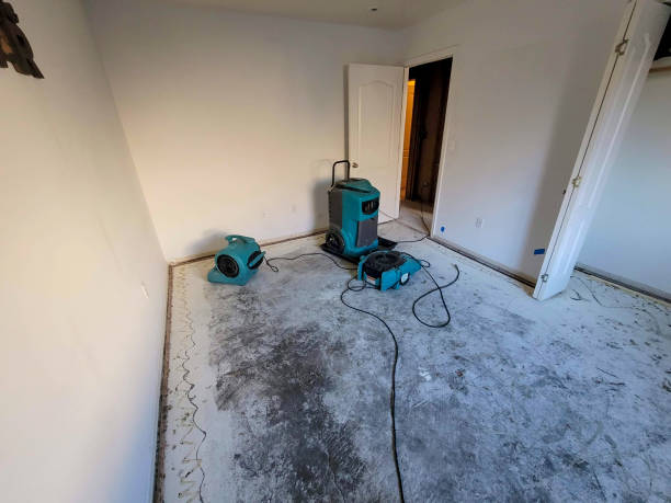 Best Flood damage cleanup  in Crenshaw, MS