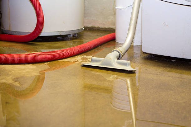 Best Professional water damage repair  in Crenshaw, MS