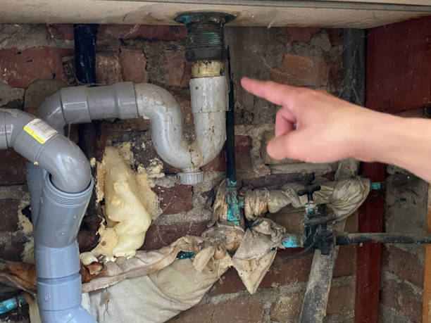 Best Local water damage restoration  in Crenshaw, MS